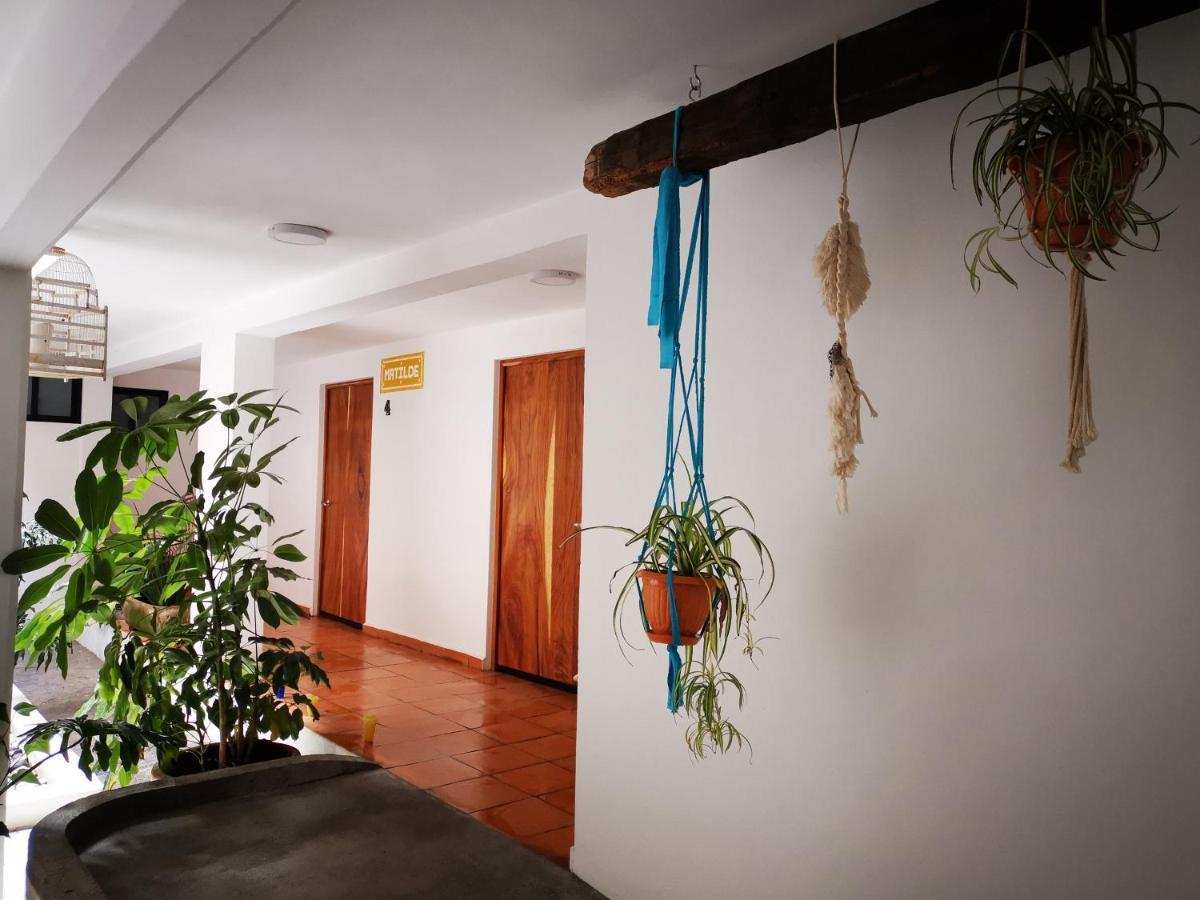Santa Josefita B&B Cholula Εξωτερικό φωτογραφία